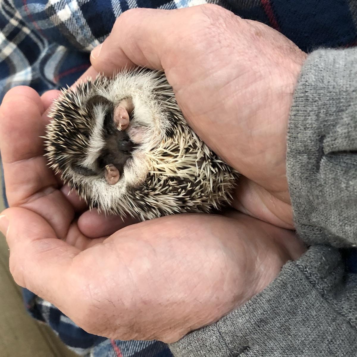 Patrick holding Basil as a baby